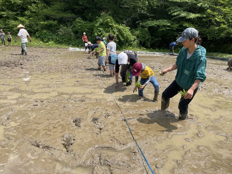 田植え沢あそびの様子.jpeg